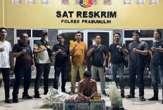 Curi 9 Karung Alumunium dan Belasan Aki Bekas : Pemuda di Prabumulih Ditangkap Tim Tekab !