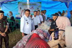 Bantu Masyarakat Akses Pangan Murah dan Tekan Inflasi, DKP Prabumulih Luncurkan Program Gerbang Kita