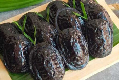 Kue Tok Ketan Hitam Sajian Tradisional yang Tetap Memikat di Era Modern