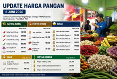 Update Harga Pangan 6 Juni 2026: Cabai Rawit Merah Tembus Rp75.700, Telur Ayam Ras Rp30.400 per Kilogram
