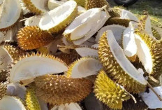 Atasi Sembelit dan  Nyeri Haid dengan Kulit Durian