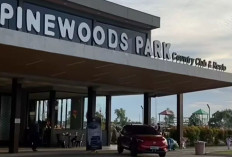 Pinewoods Park Palembang, Destinasi Wisata Estetik untuk Liburan Keluarga