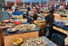 Pemprov Sumsel Gencarkan Kampanye Gemar Makan Ikan untuk Tingkatkan Gizi dan Jaga Konsumsi Masyarakat