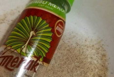 Merica : Si Pedas yang Tak Pernah Absen sebagai Pelengkap Masakan