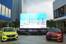 Honda Brio Mendominasi Pasar Otomotif Indonesia : Terjual 3.434 Unit di April 2024 !