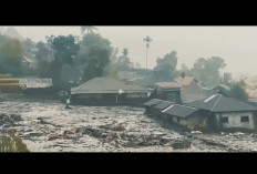 Daftar Provinsi Rawan Banjir, Longsor, hingga Tsunami : Cek Daerahmu, Apakah Termasuk ? 