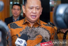 KUHP Baru Perkuat Upaya Berantas Mafia Tanah