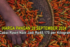 Harga Pangan 28 September 2024 : Cabai Rawit Naik Jadi Rp45.170 per Kilogram !