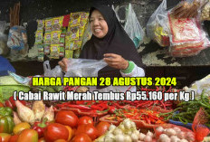 Harga Pangan 28 Agustus 2024 : Beras dan Bawang  Meroket, Cabai Rawit Merah Tembus Rp55.160 per Kilogram !  