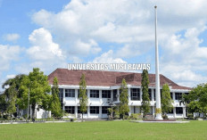 Daftar 10 Perguruan Tinggi Terkenal di Kota Lubuklinggau Sumatera Selatan :  Siap Mencetak Orang Pintar !
