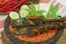 Pecel Lele Sambal Lamongan: Kuliner Khas Pecel Lele Sambal Lamongan yang Semakin Populer di Indonesia