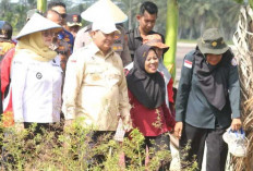 Bupati Askolani dan Wabup Netta Launching Perdana Tabur Benih IP 300 di Karang Agung Ilir