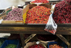 Harga Pangan 2 Agustus 2025: Bawang Merah Rp46.278, Cabai Rawit Rp49.642 per Kilogram !