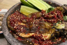 Sambal Terong Bakar : Sajian Pedas yang Menggugah Selera