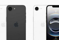  Apple Resmi Rilis iPhone 16e: Alternatif Terjangkau dengan Performa Andal
