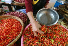 Update Harga Pangan 15 Mei 2026 : Cabai Rawit Merah Tembus Rp77.750, Telur Ayam Rp32.450 per Kilogram