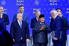 MUI Desak Indonesia Mundur dari Dewan Perdamaian