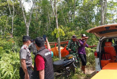 Tiga Hari Hilang, Petani di OKU Ditemukan Tak Bernyawa di Pinggir Sungai