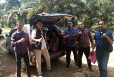 Berdalil 5 Tahun Puasa Karena Istri Sakit, Petani Kopi Cabuli 2 Bocah Dibawah Umur