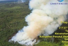 BPBD Sumsel Kerahkan 4 Helikopter Padamkan Karhutla