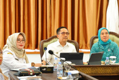 Palembang Kejar Predikat Kota Sehat Tertinggi