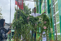 Manfaatkan Lahan Sempit Untuk Bercocok Tanam