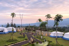 Annapurna Campsite Bogor: Destinasi Camping Baru dengan Pemandangan Pegunungan dan City View yang Memukau