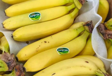 Beragam Jenis Pisang, Kekayaan Tropis yang Kaya Gizi dan Serbaguna