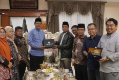 Minta DPR RI Perjuangkan Pemerataan dan Kehandalan Listrik