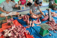 Masjid Al-Barokah Sembelih 10 Hewan Kurban, 350 Kupon Daging Dibagikan ke Warga
