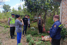 Geger, Warga Sekarjaya OKU Ditemukan Meninggal Dunia di Dekat Pohon Nangka
