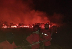 Lahan 10 Hektare di Tol Palindra Ogan Ilir Terbakar, Petugas Berjibaku Padamkan Api