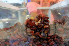 Kurma, Nilai Spiritual dan Potensi Ekonomi