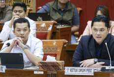 Komisi X DPR RI Setujui Naturalisasi Emil Cs