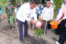 Peringati Hari Lingkungan Hidup Sedunia 2026, Pemkot Prabumulih Bagikan Bibit dan Gelar Aksi Tanam Pohon 