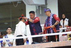 Sumsel Catat Sejarah Baru, PORNAS XVII KORPRI 2025 Jadi yang Terbesar Sepanjang Sejarah