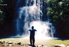 Eksotisme Curup Perigi : Keindahan Alam yang Tersembunyi di Kabupaten Sejuta Air Terjun !