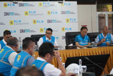 Apresiasi Gerak Cepat PLN Atasi Gangguan Kelistrikan