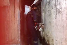  Dinkes OKU Tangani 14 Kasus DBD