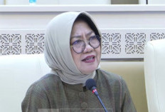 Usulkan Pilkada Asimetris Harus Sesuai Karakteristik Daerah