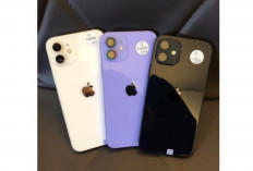 Update Terbaru Harga iPhone Mei 2025: Dari iPhone 11 hingga iPhone 16 Pro Max, Ini Daftarnya!