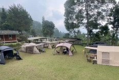 D’Jungle Private Camp: Camping Mewah di Atas Bukit dengan Pemandangan Hutan Pinus di Bogor