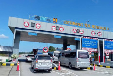 Trafik Jalan Tol Trans Sumatera Melonjak saat Libur Panjang, Ruas Tol Palembang-Lampung Paling Padat