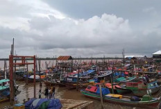 Tanjung Carat, Pesona Pantai dan Gerbang Baru Ekonomi Sumatera Selatan   