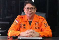 BPBD Muara Enim Catat 33 Kejadian Karhutla