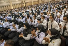 3.077 PPPK Sumsel Akan Dilantik 6 Juni 2025: Gubernur Dijadwalkan Memimpin Prosesi !