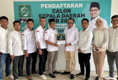 Serius Ikut Pilwako Palembang, Nandriani Ambil Formulir di 4 Parpol