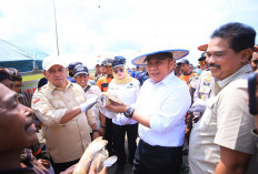 Herman Deru Panen Raya Padi IP 200 di Banyuasin, Ini Capaian Produksi dan Dukungan untuk Petani
