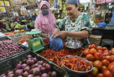 Harga Pangan 1 Juli 2025: Bawang Merah Rp43.231, Cabai Rawit Rp61.721 per Kilogram !
