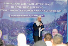 PLN Alirkan Listrik 24 Jam ke Dusun Terpencil di Cengal 